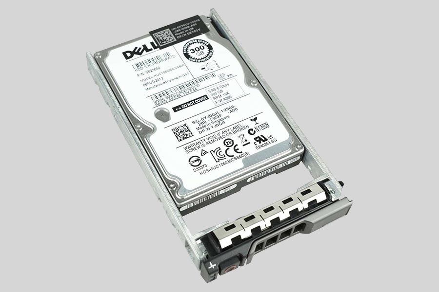 Datenrettung der Festplatte Dell