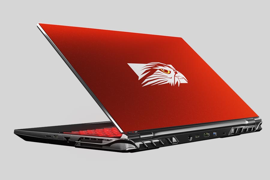 Falcon Northwest Laptop Datenrettung